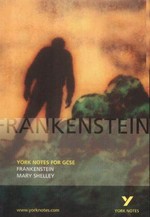 Frankenstein, Mary Shelley : notes / by Alexander Fairbairn-Dixon.
