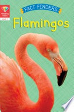 Flamingos / Katie Woolley.