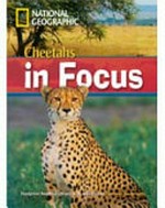 Cheetahs in focus / Rob Waring, series ed.