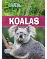 Koalas / Rob Waring, series editor.