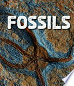 Fossils / by Ava Sawyer.