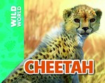 Cheetah / Meredith Costain ; illustrated by Mick Posen.