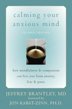 Calming your anxious mind : how mindfulness & compassion can free you from anxiety, fear & panic / Jeffrey Brantley, MD.