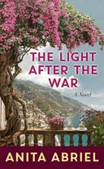 The light after the war / Anita Abriel.