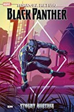Black Panther. Book 1, Stormy weather / written by Kyle Baker ; art by Juan Samu ; colors by David Garcia Cruz ; letters by Tom B. Long & Shawn Lee.