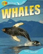 Whales / Sally Morgan.