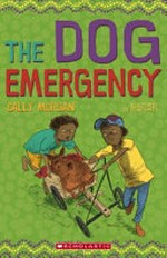 The dog emergency / written by Sally Morgan ; illustrated by Craig Smith.