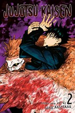 Jujutsu kaisen : 2 / fearsome womb story and art by Gege Akutami ; translation, Stefan Koza ; touch-up & lettering Snir Aharon.
